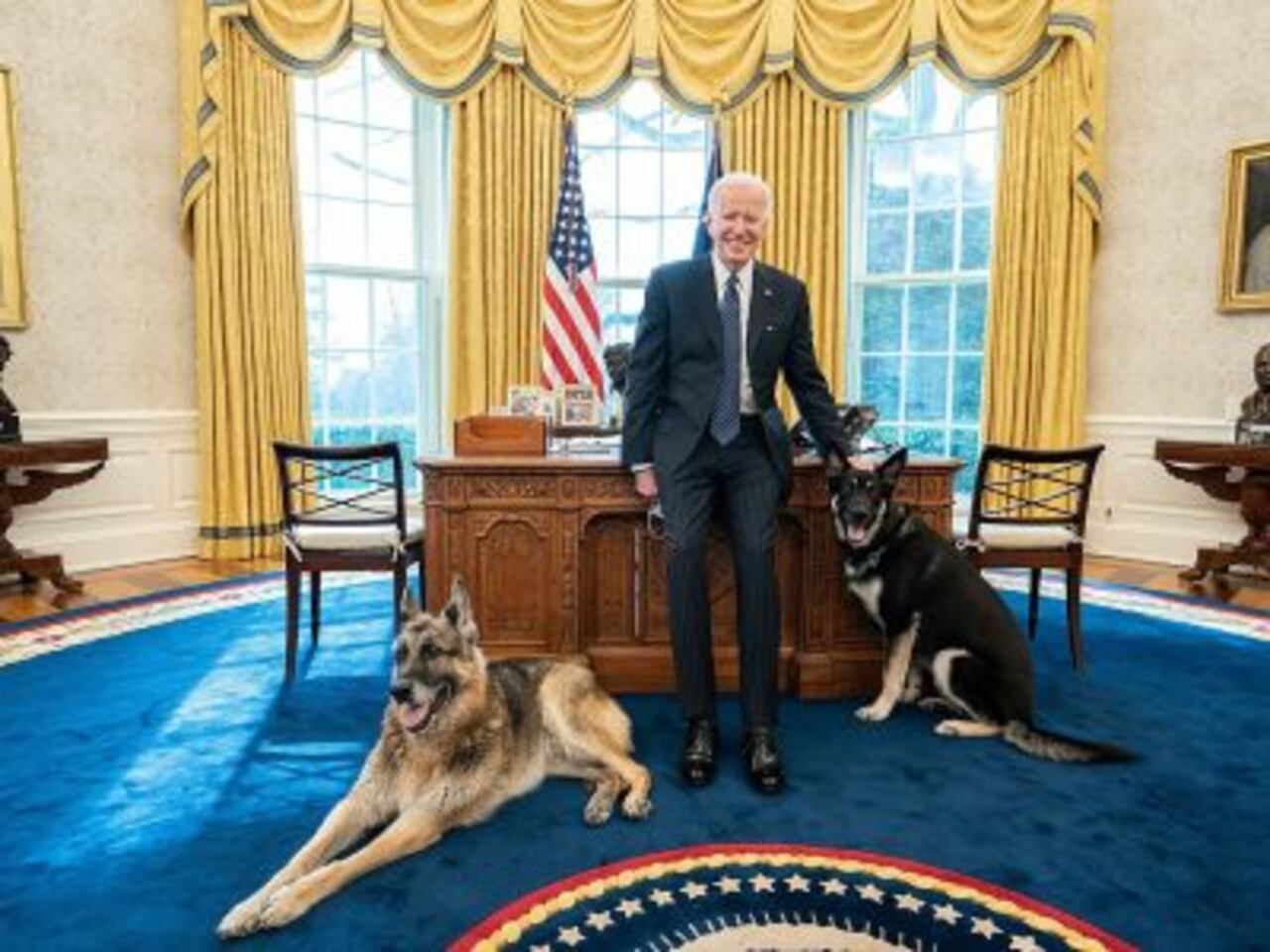 Los Biden buscan una solución para el perro y evitar más problemas