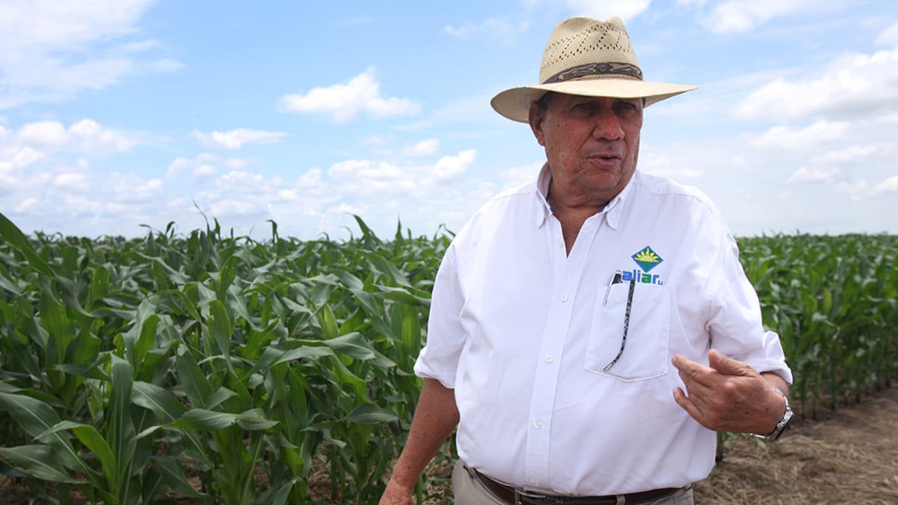 Mientras muchos empresarios han abandonado o congelado sus proyectos en la altillanura, Agropecuaria Aliar mantiene sus planes de crecimiento. Así lo hace.
