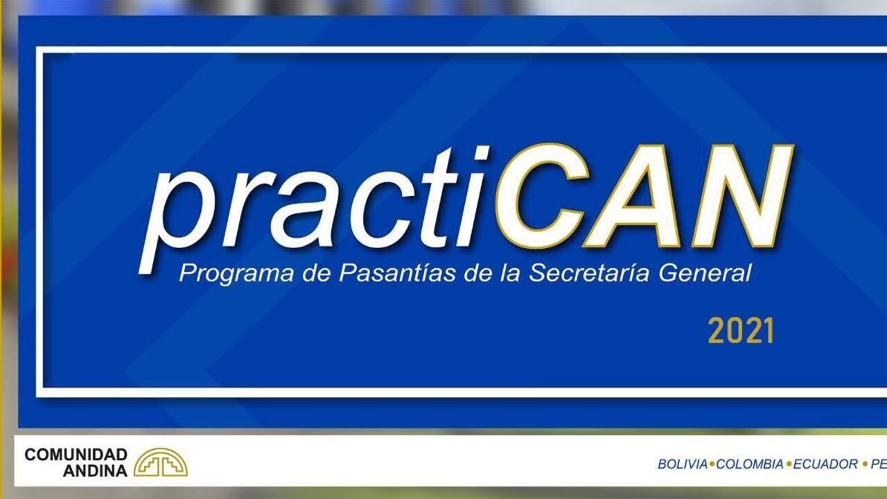 El organismo anunciará los seleccionados el 11 de febrero de 2021.