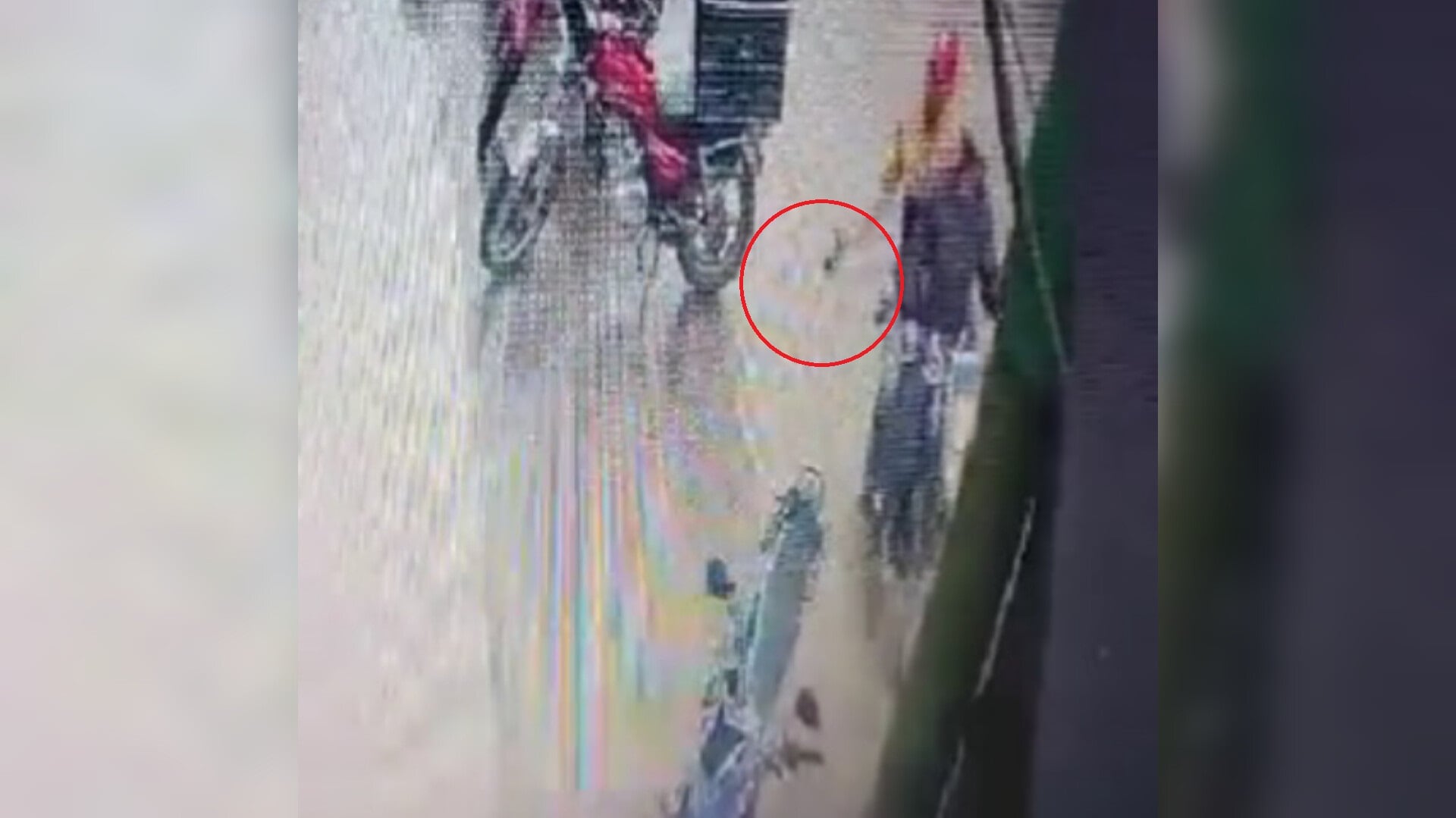 Lanzan granada contra supermercado de Algeciras, Huila; el artefacto explotó y hay videos del hecho.