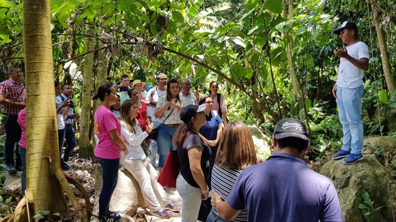 El proyecto Bosques de Paz en Mocoa recibió reconocimiento ambiental.