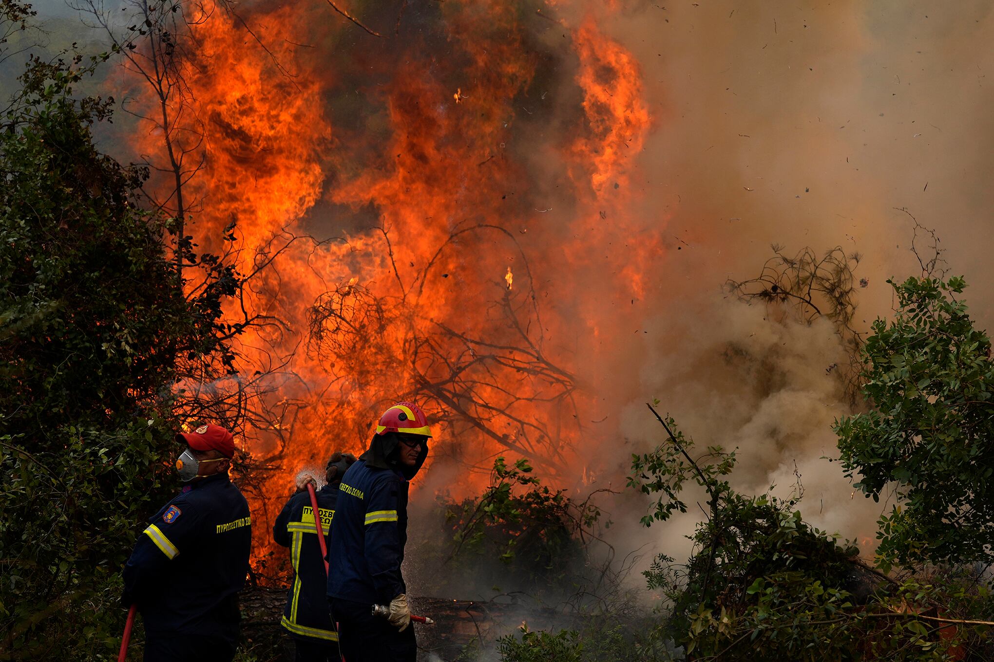 Incendio forestal en Pefki Village en la isla de Evia, a unos 189 kilómetros al norte de Atenas, Grecia