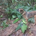 Las autoridades manejan tres hipótesis sobre el paradero de los niños.