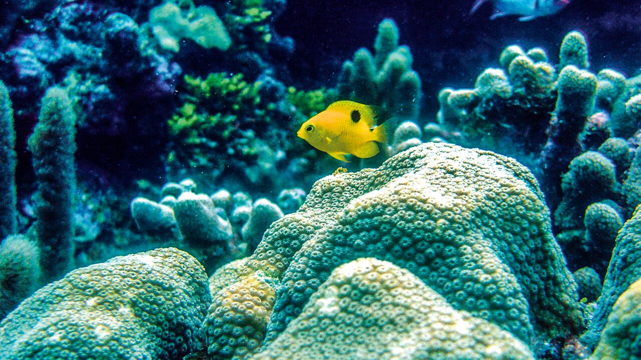 NO USAR, USO EXCLUSIVO MEJOR COLOMBIA, Especial Mejor Colombia, Turistas Providencia