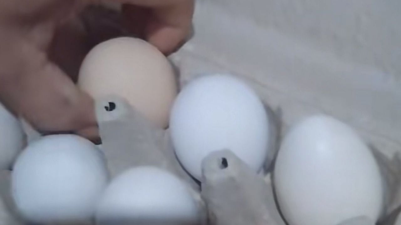 Sorpresa en el desayuno