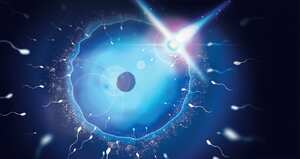 Los espermatozoides también están perdiendo calidad. Se dan ejemplares de dos cabezas y otros que permanecen sin rumbo, en vez de nadar a la conquista de un óvulo.