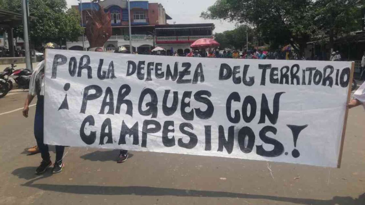 Gobierno llegó a acuerdos con los campesinos de tres Parques Nacionales Naturales de la Amazonia. Foto: Cortesía EcoAmem.