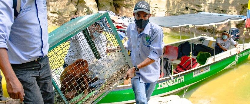 Colombia pidió 60 mil millones de dólares para cumplir sus metas ambientales.