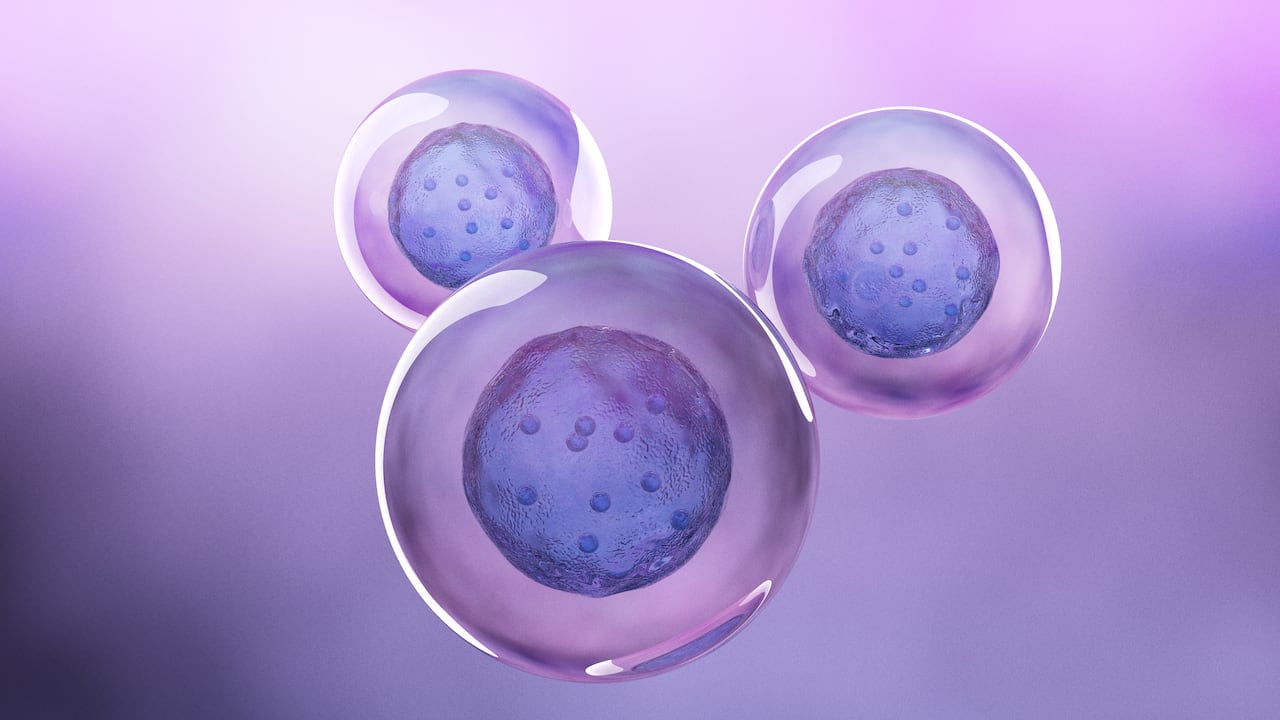 Congelar óvulos- maternidad