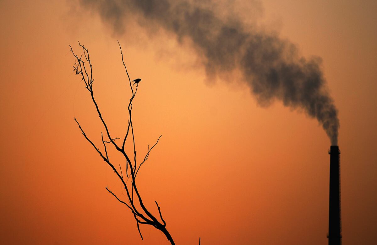 Un cuervo está posado en la rama de un árbol mientras el humo sube de una fábrica en Nueva Delhi, India. Este martes el secretario de la ONU Ban Ki-Moon citó en la India a más de 100 líderes mundiales para hablar del clima y del calentamiento global. (AP)