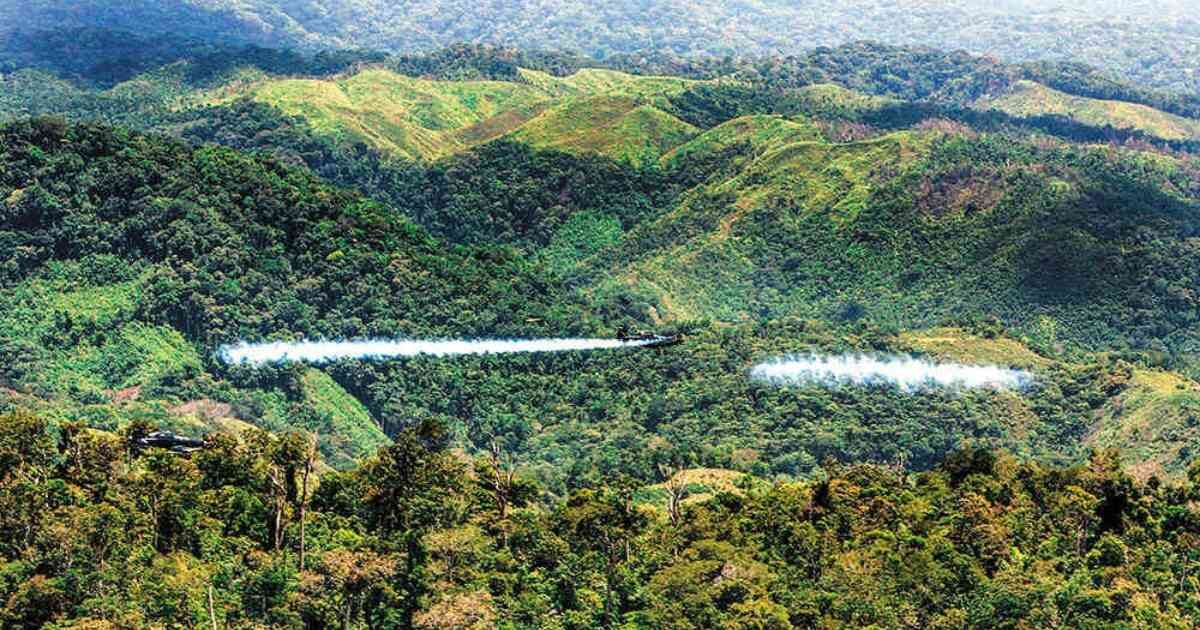 La fumigación aérea con glifosato se encuentra suspendida en Colombia desde el 2015. Foto: archivo/Semana