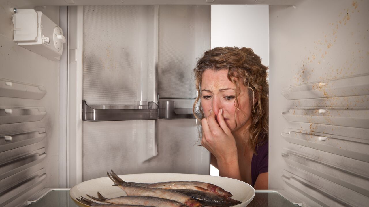 Con la sensibilidad del pescado a la contaminación bacteriana, es esencial comprender los límites de tiempo recomendados para su almacenamiento en condiciones óptimas.