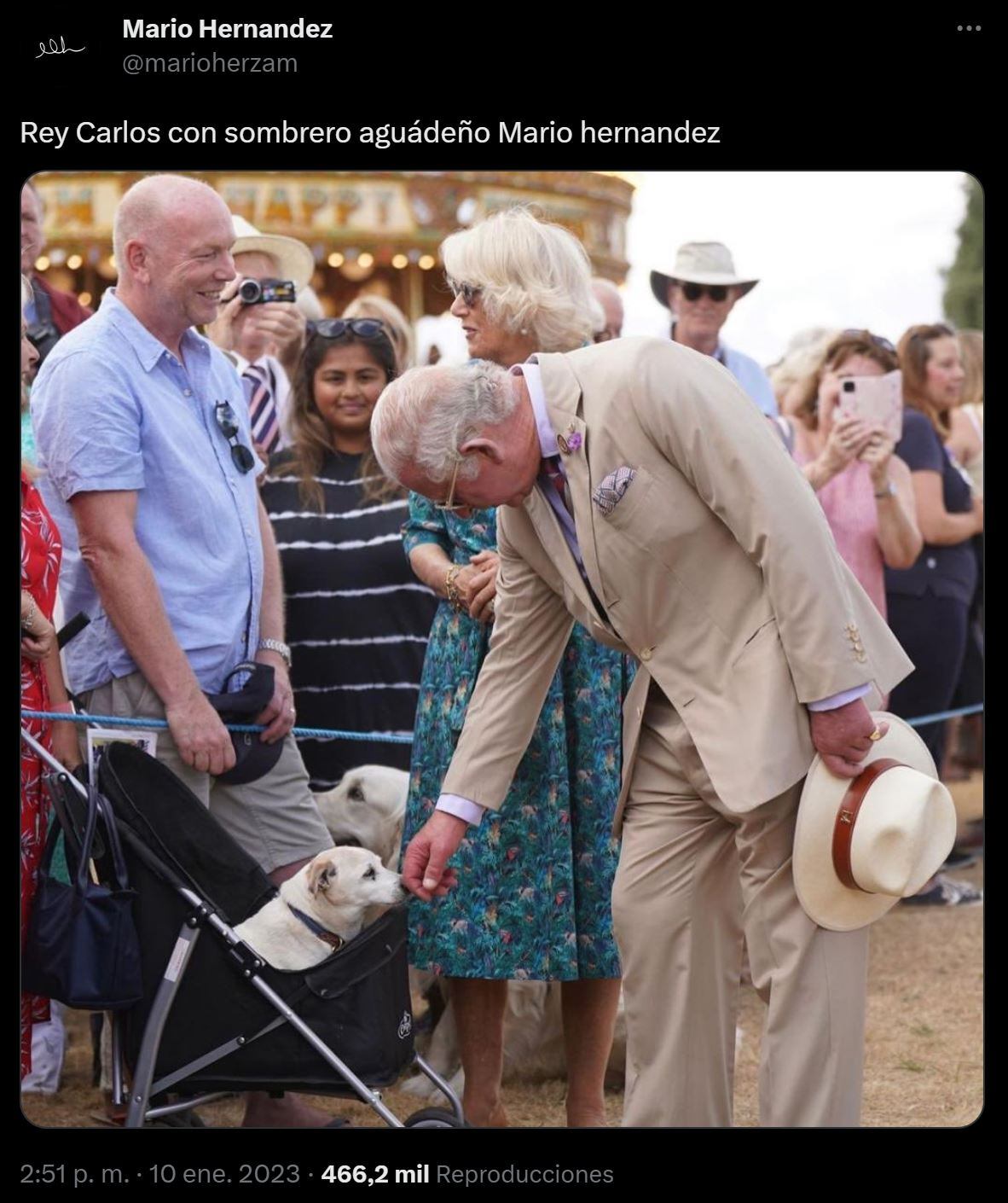 Trino Mario Hernández .- Rey Carlos III