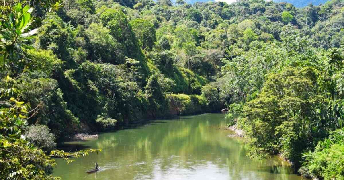 Parque Nacional Natural Farallones de Cali. Foto: PNN