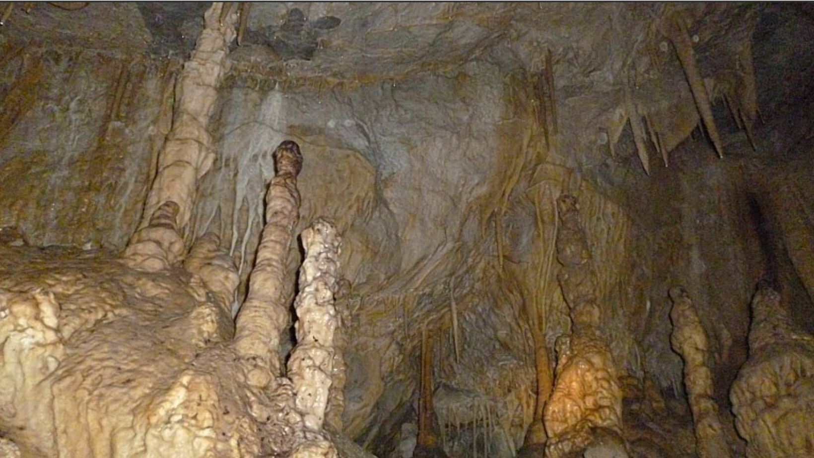 Parque Cueva de los Guácharos: ¿dónde queda y qué hacer en este destino?