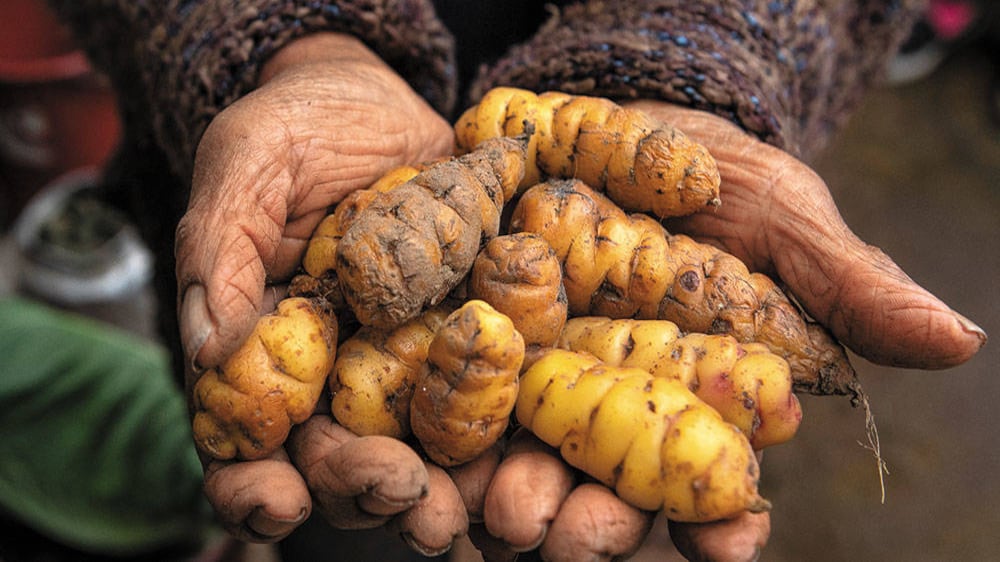 CCI representa a pequeños productores colombianos ante el mundo