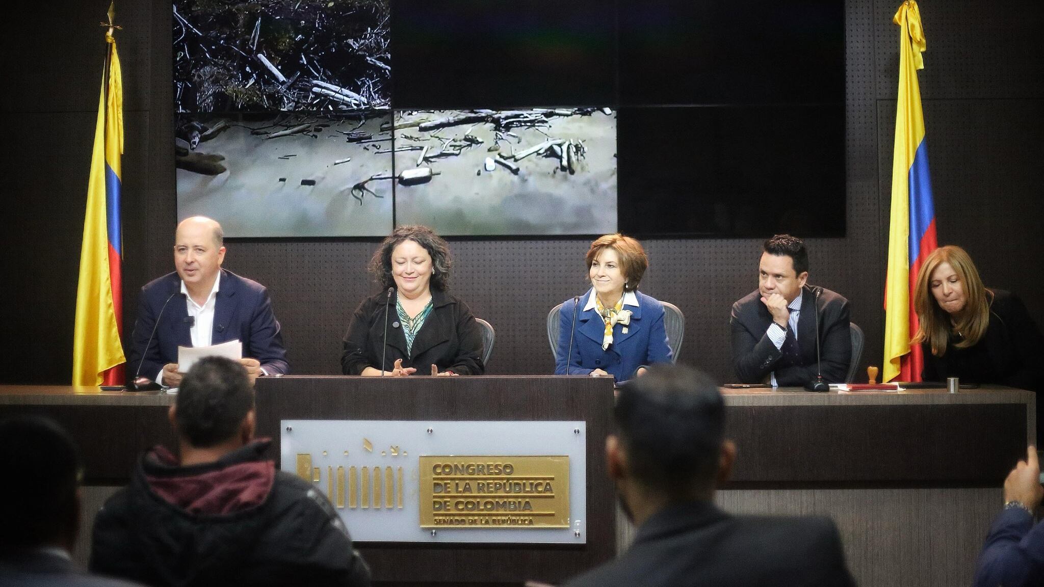 Presentan proyecto de ley para frenar la erosión costera.