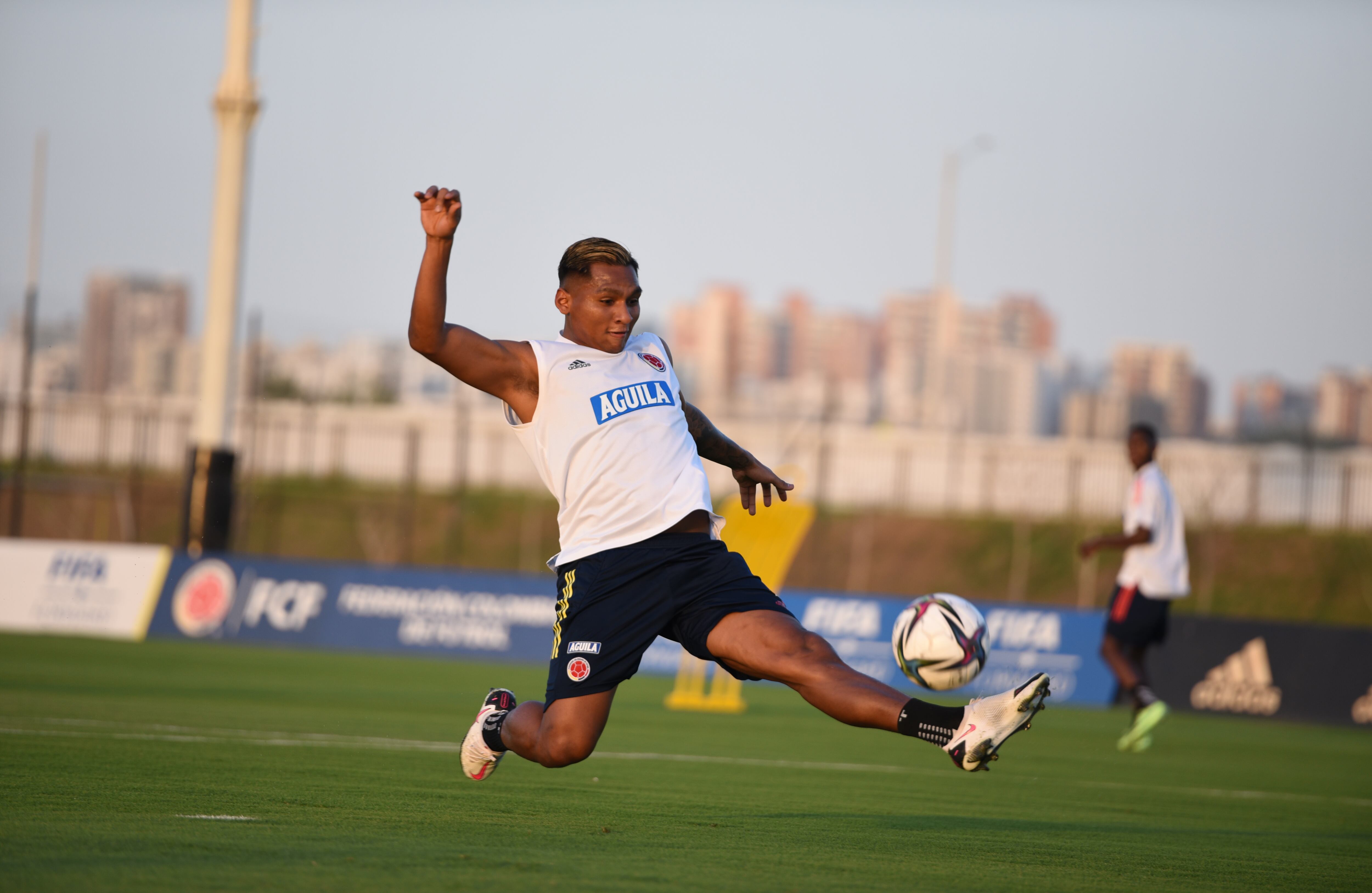 Selección Colombia. Alfredo Morelos Foto: FCF
