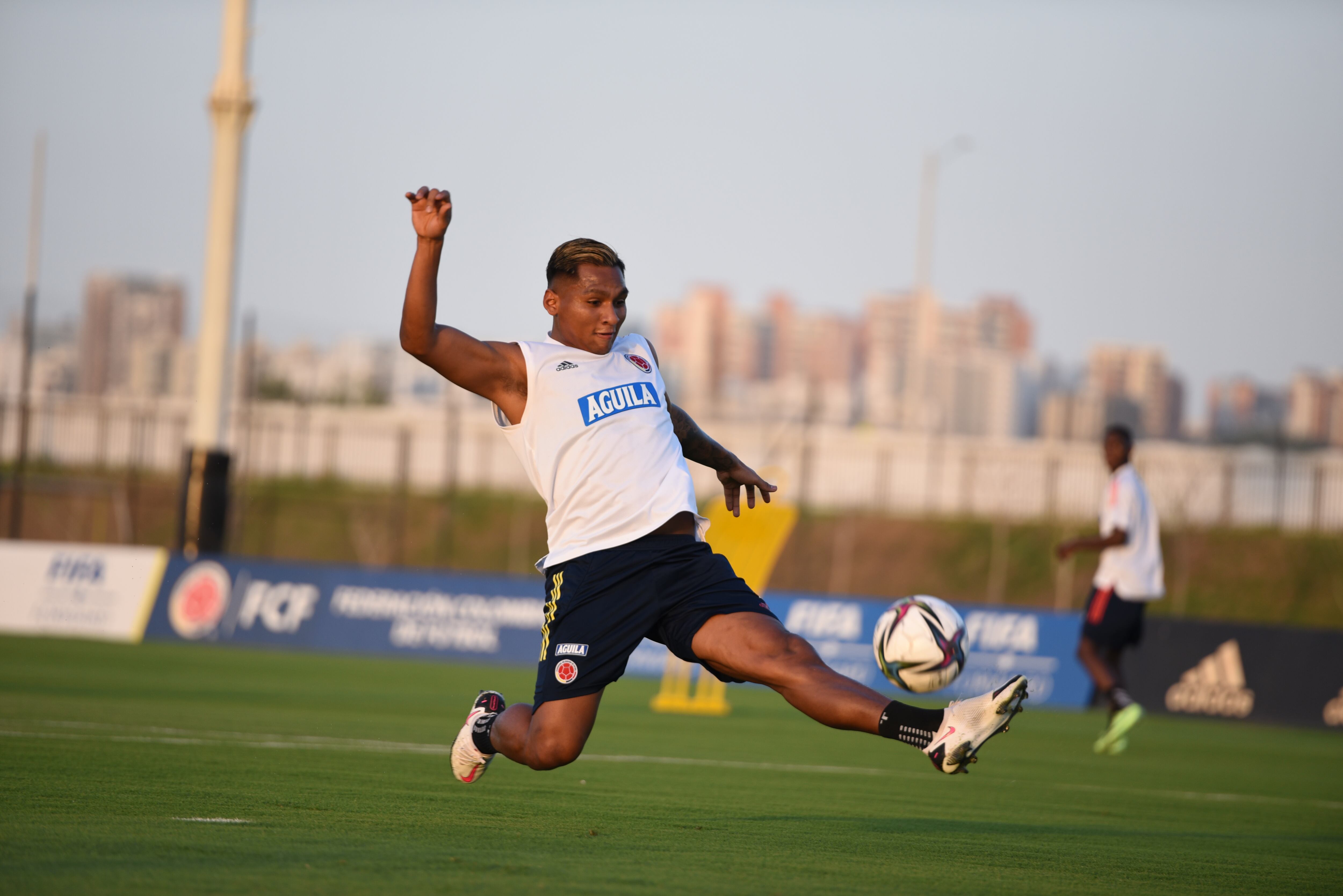 Selección Colombia. Alfredo Morelos Foto: FCF