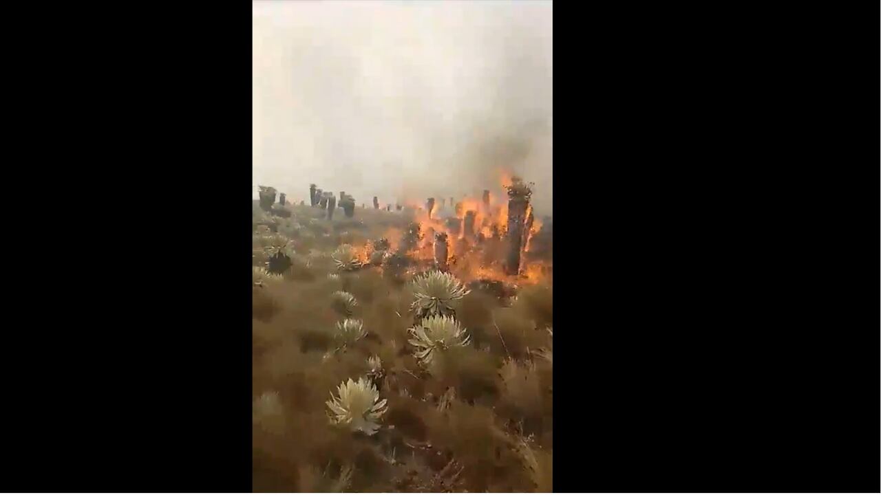 Boyacá está bajo alerta por los incendios forestales, uno de ellos afecta al páramo Siscunsí. Foto: @c0lombiaderecha