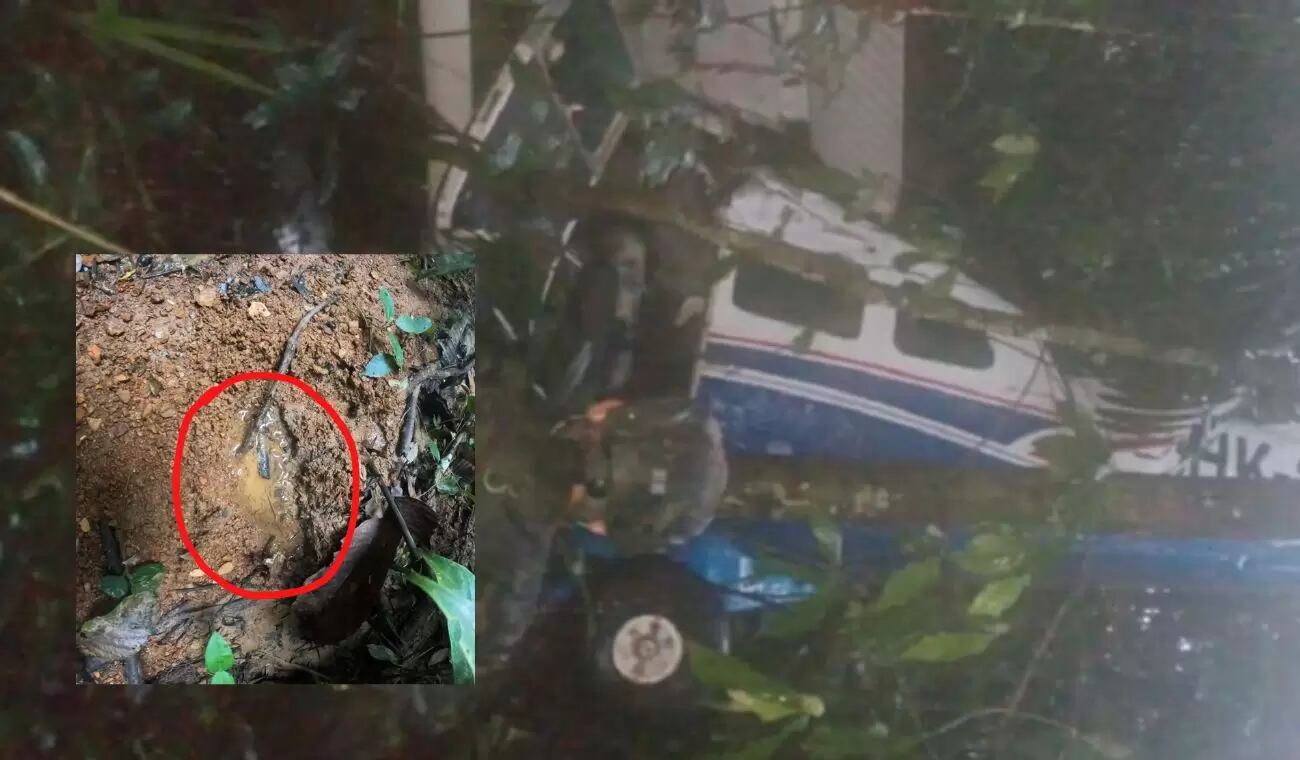 Continúa la búsqueda de los menores. Indígenas y FFMM participan.