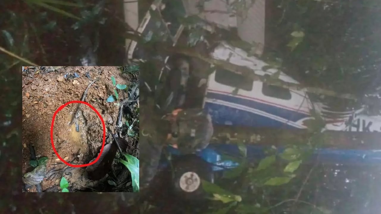 Las preguntas resueltas y sin resolver que dejó el hallazgo de los cuatro menores en el Guaviare.