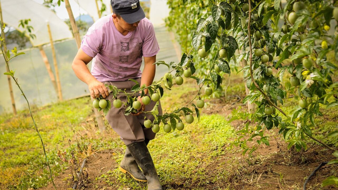 La ANDI entregó el sello a nueve proyectos