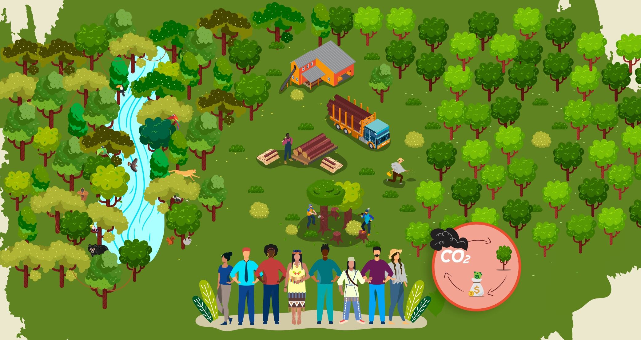 En nuestro país es posible, viable y necesario fomentar estrategias de conservación de los bosques naturales que a su vez permitan su uso y aprovechamiento bajo una óptica de Gestión Forestal Sostenible.