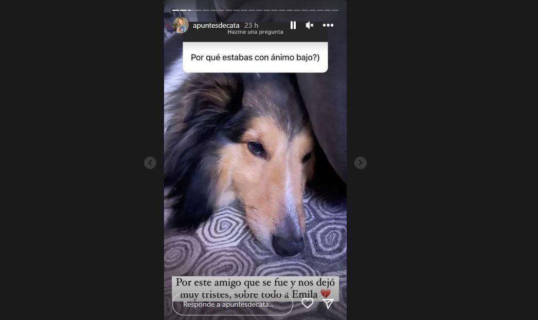 Catalina Gómez historias de Instgram