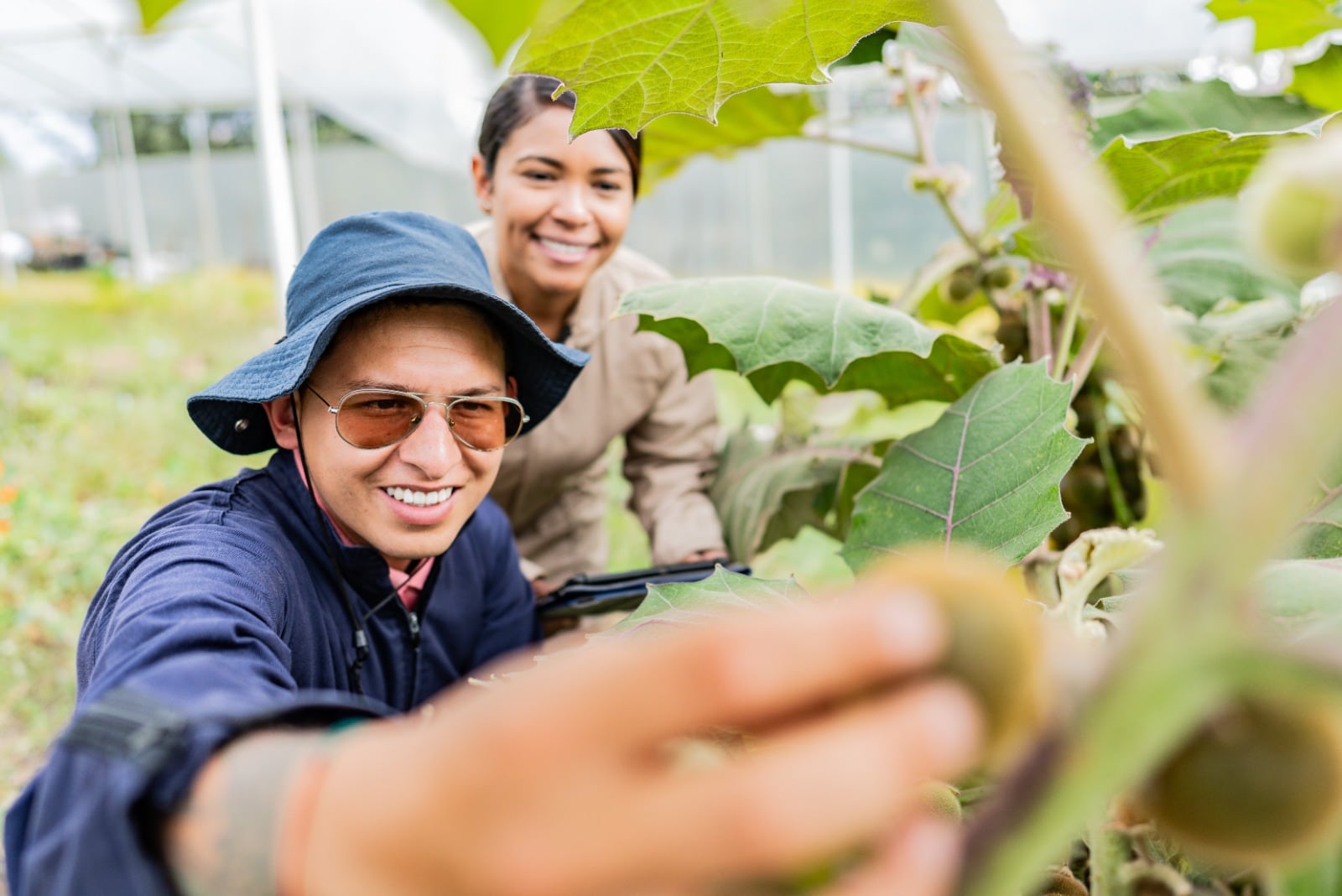 Productores en campo monitorean cultivos y toman decisiones basadas en datos, una de las claves del nuevo modelo productivo rural en Colombia.