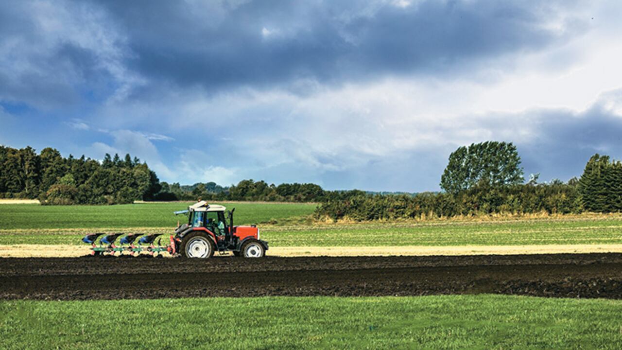 La siembra de maíz tecnificado ya constituye 15% de la producción nacional de este grano.