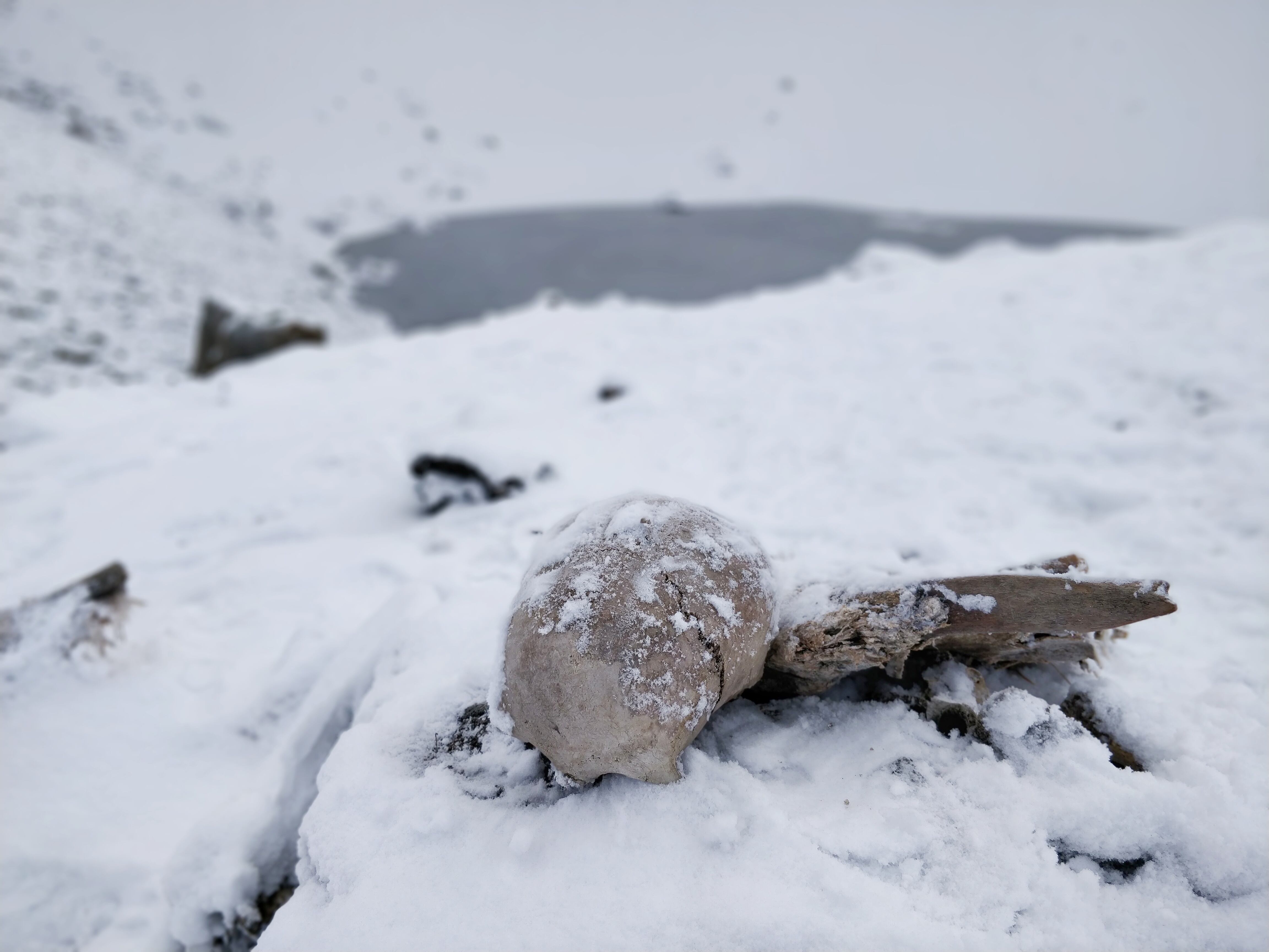 Hallazgos arqueológicos bajo la nieve
