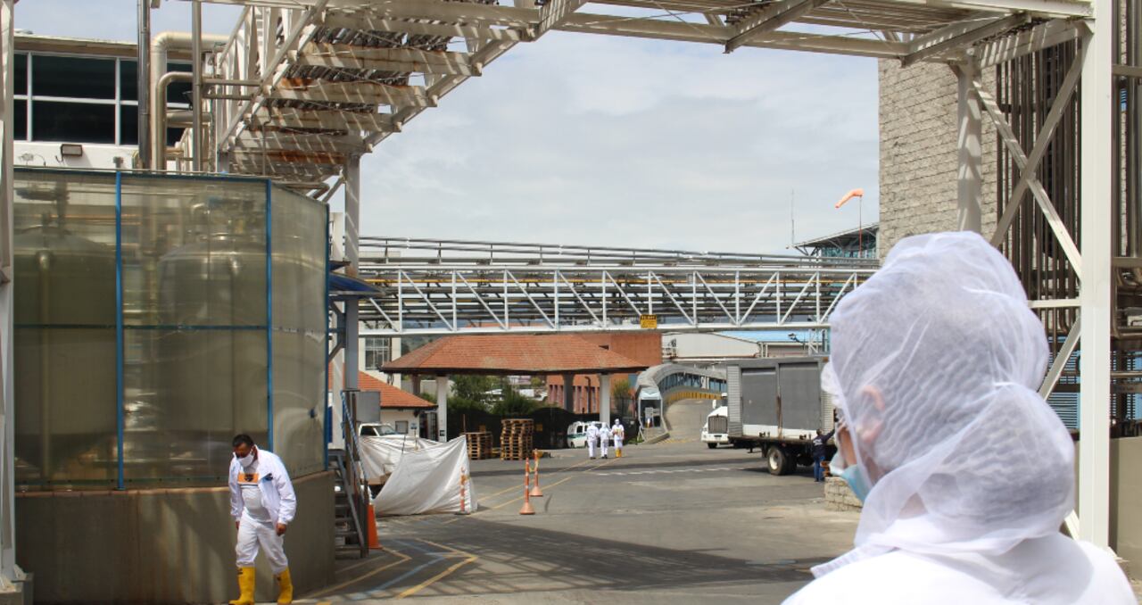 Planta Alpina Cajicá