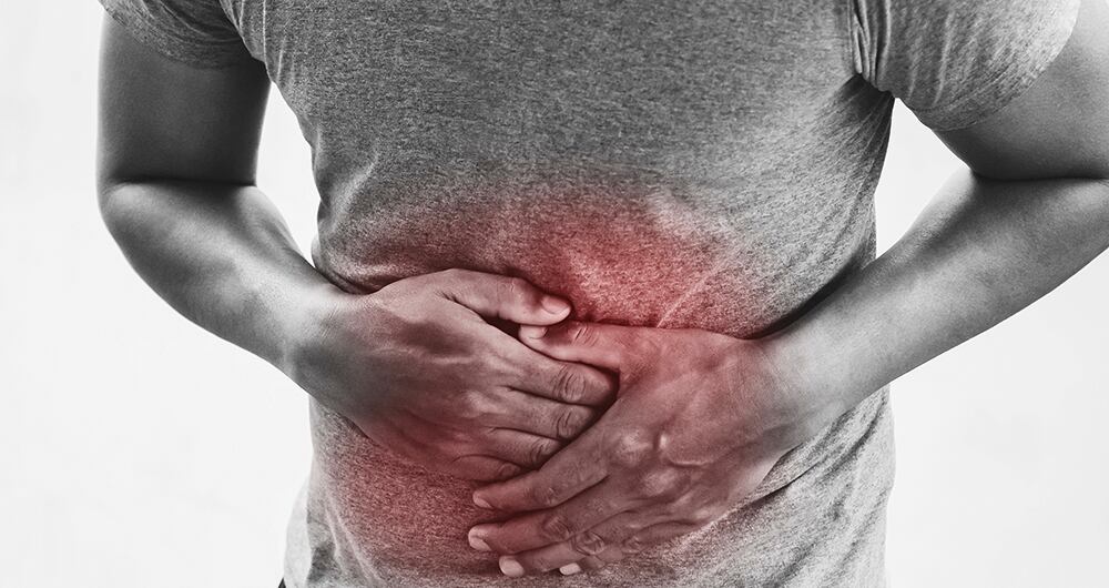 Este estudio aporta nuevas perspectivas sobre el trabajo del microbioma durante la digestión.