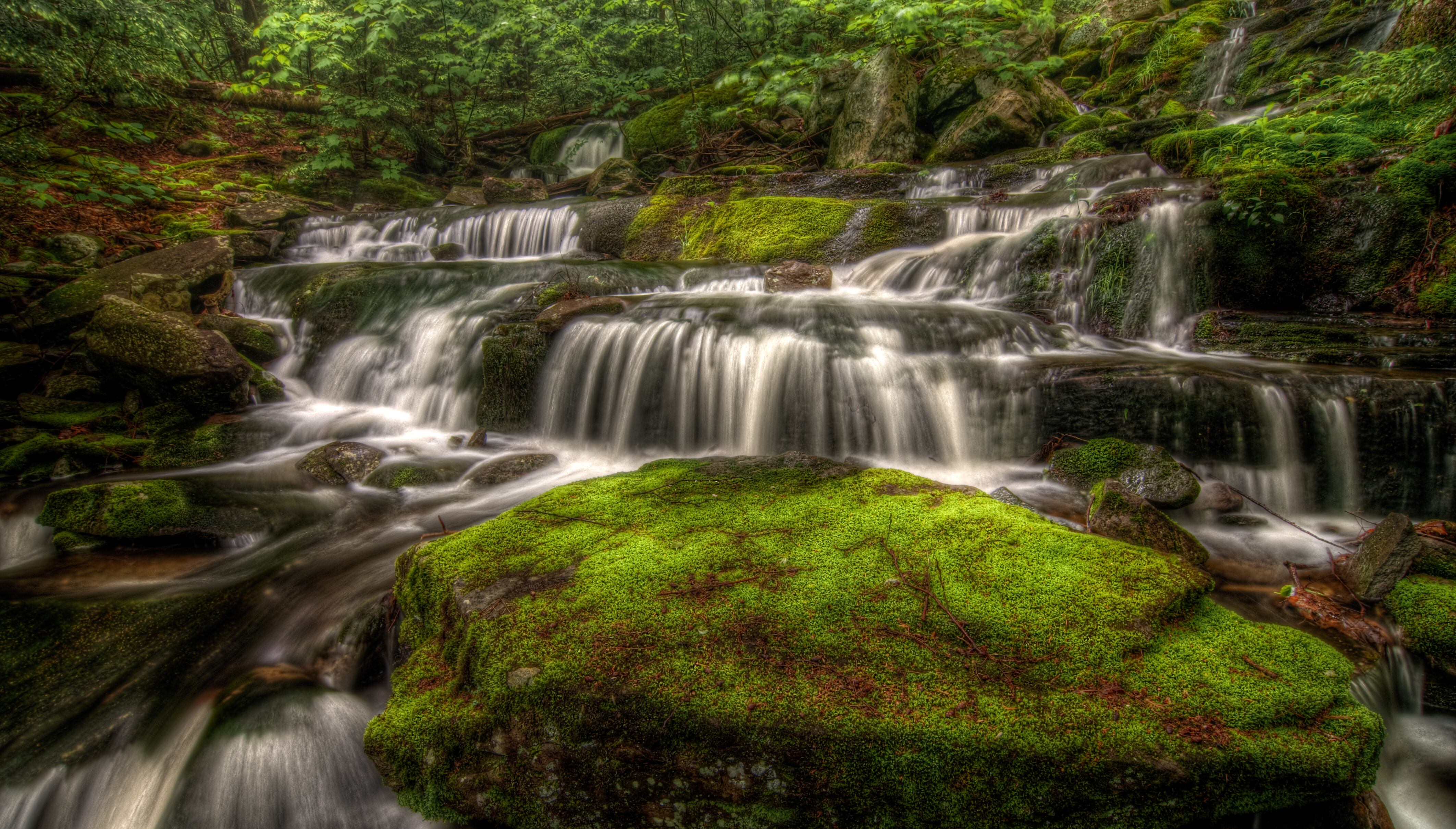 Un arroyo Catskill cerca del lago norte/sur y las cataratas Katterskill, Haines Falls, Nueva York, EE. UU.