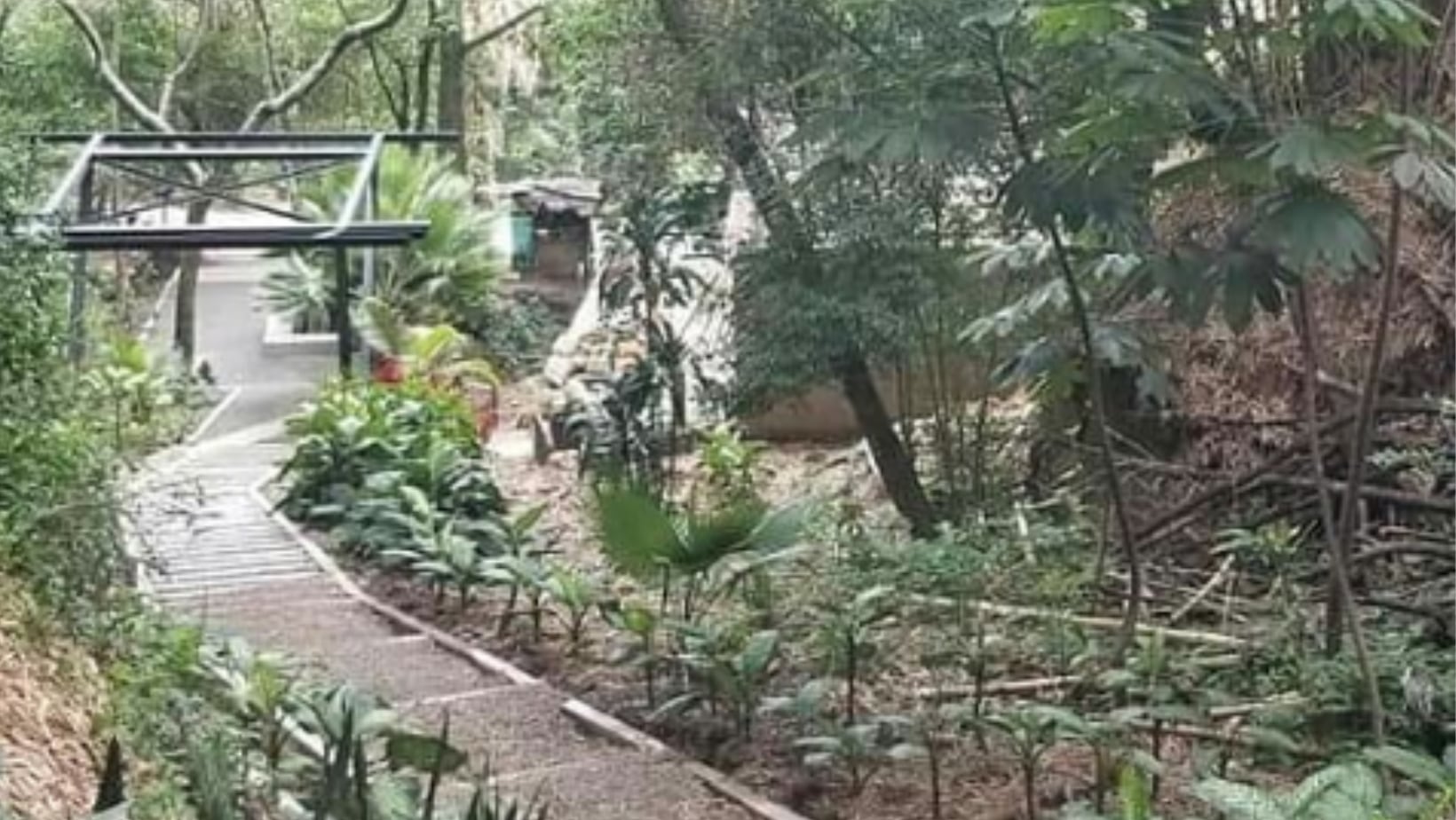 Cerro de Las Tres Cruces en Cali