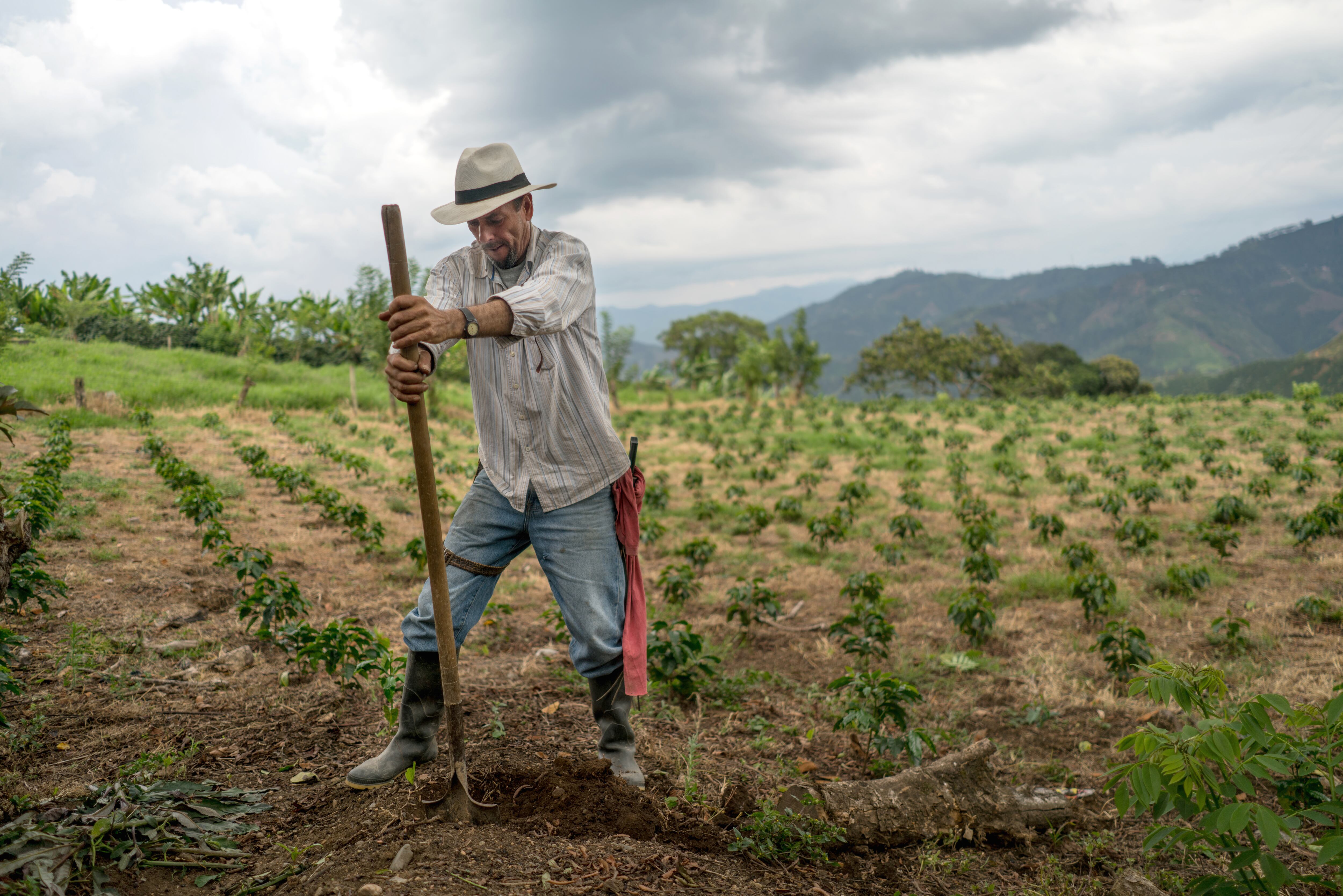 En el marco de la conmemoración del Día del campesino, Grupo Éxito aseguró que durante el primer trimestre de 2024, el 91,52 por ciento de la compra de frutas y verduras fue local y el 87,86 por ciento de esta se realizó sin intermediarios.