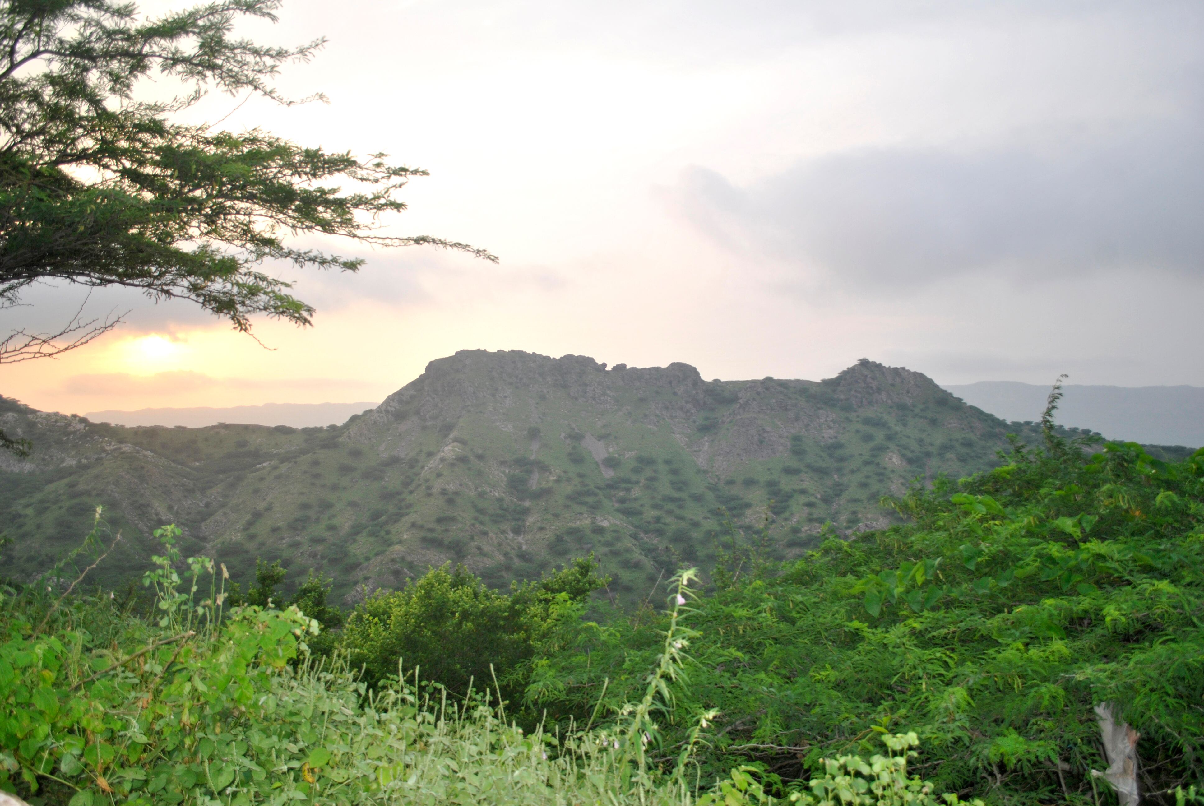 ¿Cómo llegar a los Cerros de Mavecure?