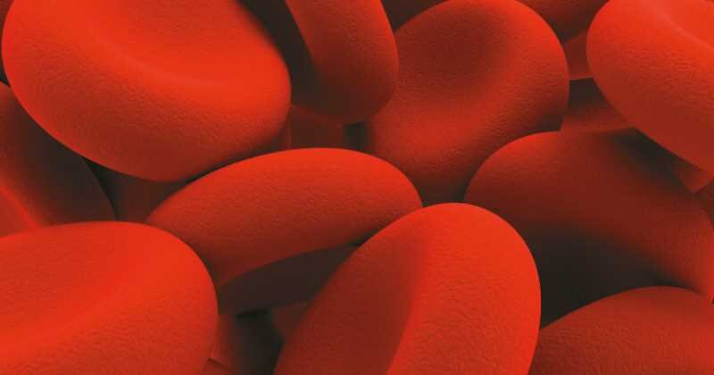 La leucemia mieloie aguda es muy agresiva. Pero la combinación de quimio e inmunoterapia podría ser una esperanza para los pacientes que la padecen