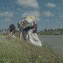 Mauro Salazar apoyó a voluntarios que se dedica a recolectar residuos en el Santuario de Flora y Fauna Los Flamencos.