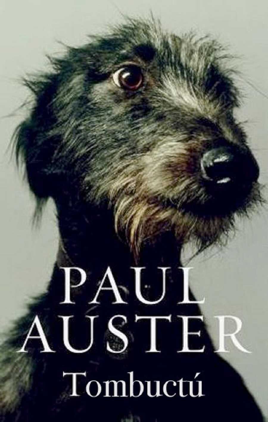 Míster Bones, en Tombuctú. En su última novela, Paul Auster escogió como protagonista a este perro, que se caracteriza por su inteligencia y por la lucha que enfrenta para entender lo que le sucede a su dueño, Willy G. Christmas, durante su última aventura juntos. Foto: www.globedia.com