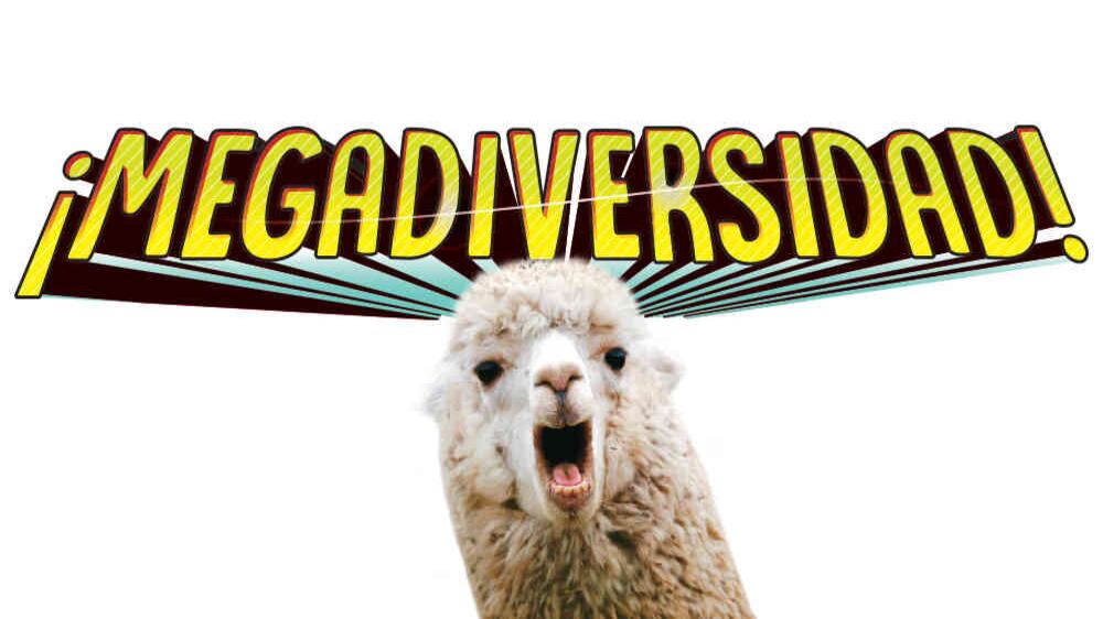 Megadiversidad