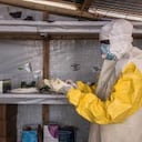 ¿Qué es el virus de Marburgo y por qué preocupa a las OMS?