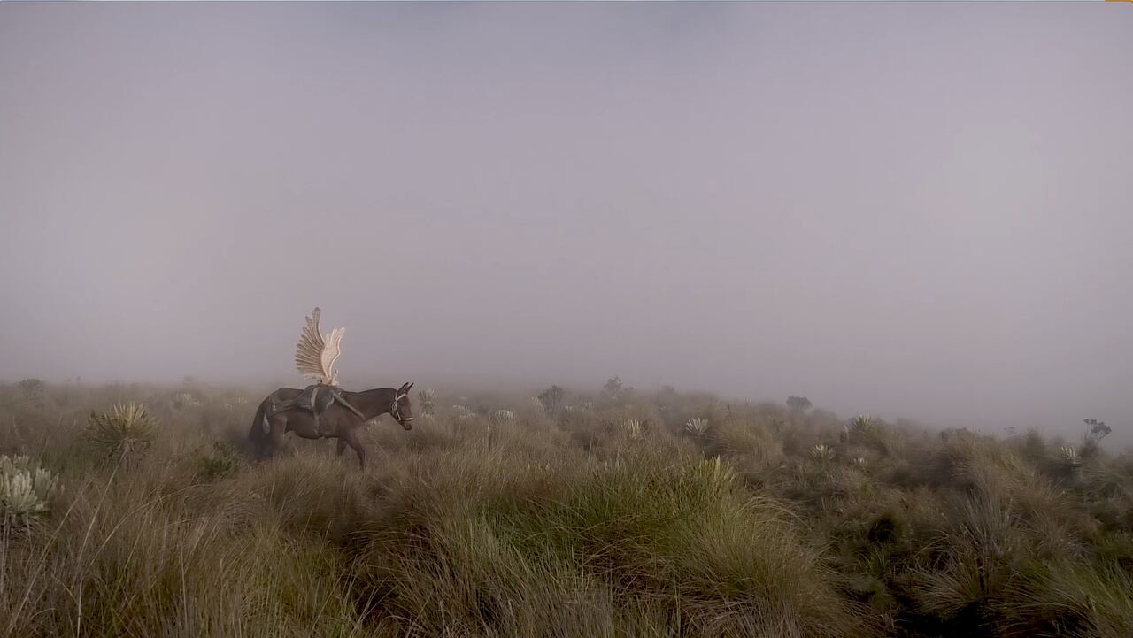 "Volando bajo" de Elkin Calderón, Diego Piñeros. Cortesía del Festival de Cine de Villa de Leyva.