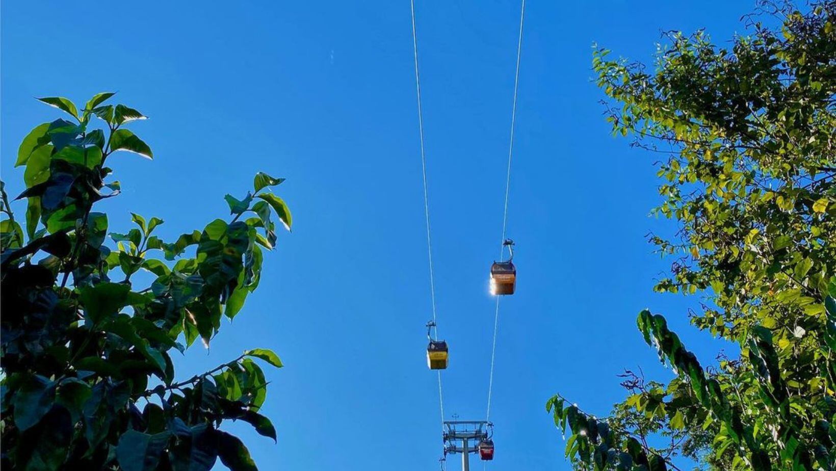 Este es el requisito para ingresar de manera gratuita al Parque del Café, un atractivo imperdible en el Quindío