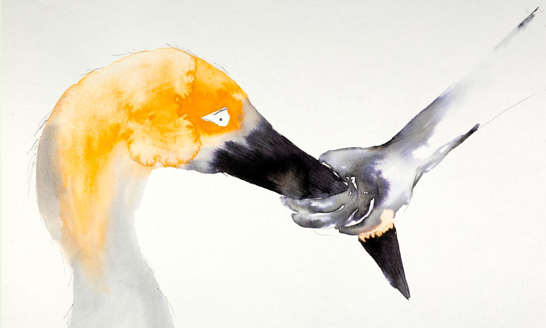 Crecer y desarrollarse, experimentar tiempos de ansiedad y reacciones que dan pie a distancias.