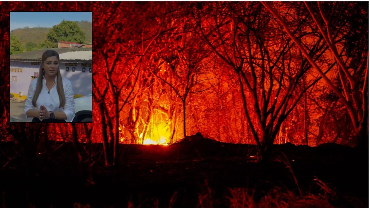 La gobernadora del Tolima, Adriana Magali Matiz, pidió apoyo aéreo para combatir los incendios forestales que permanecen activos en varios municipios del departamento.
