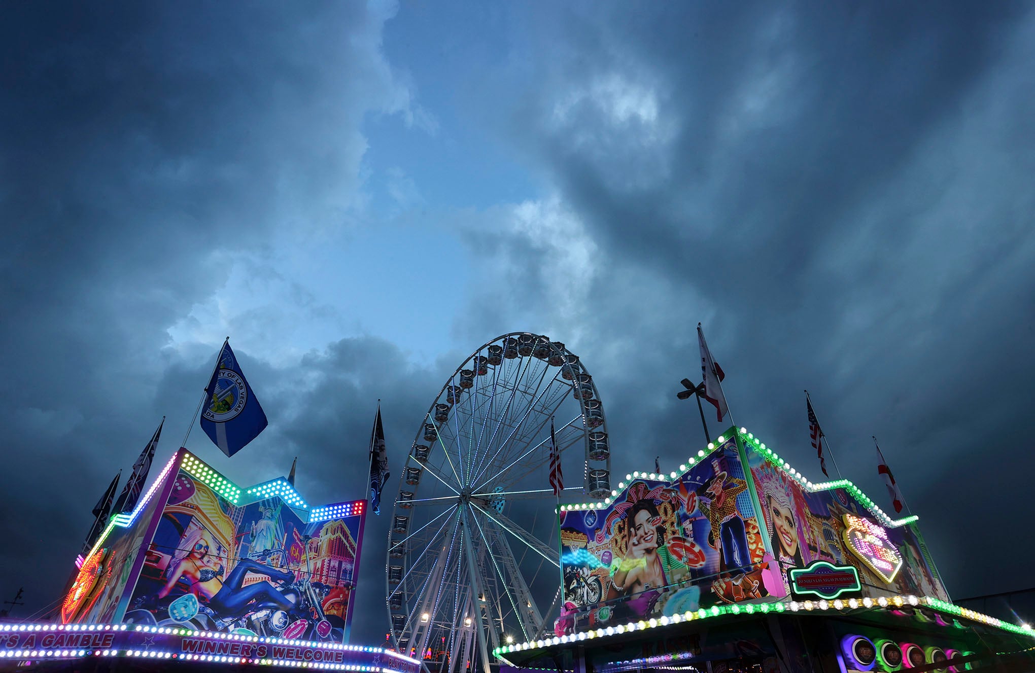 Galería de la semana