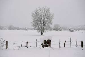 El paisaje cubierto por la nieve en el pequeño pueblo de Buruguete, en el norte de España. Foto: AP / Alvaro Barrientos.