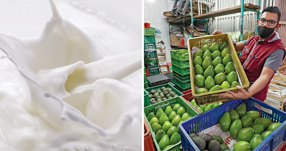 La oferta agrícola de Colombia a Estados Unidos se ha diversificado con productos como aguacate hass, limón tahití, uchuva y hierbas, entre otros.